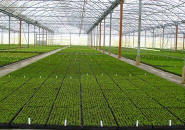 Horticulture Industry