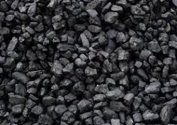 Coal