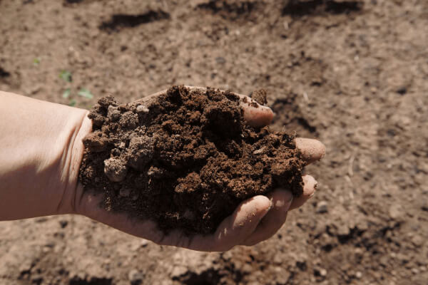 Soil conditioner